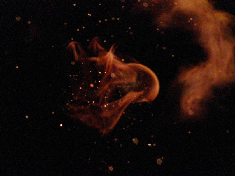 Алмаз Самигуллин | Набережные Челны