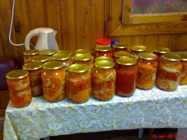 Марина Екимова | Псков