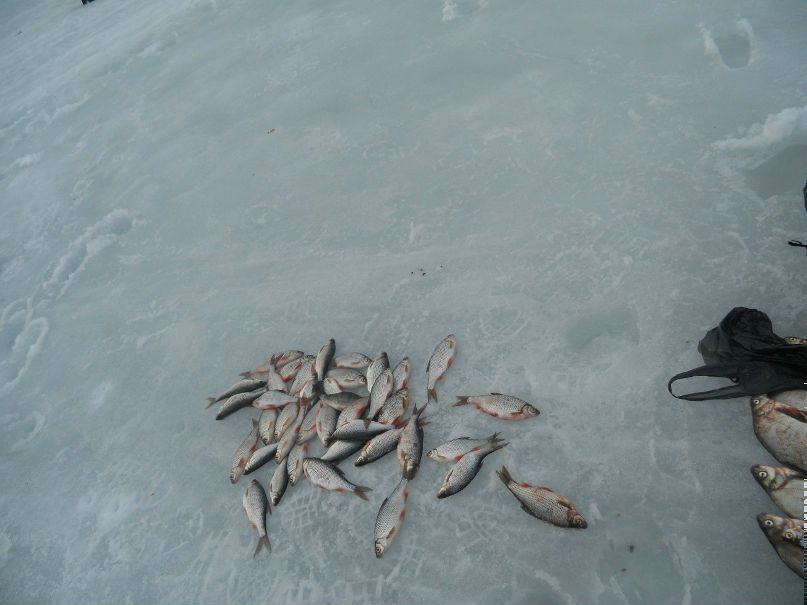 Павел Матвеев ~IIcu(X)~ | Москва