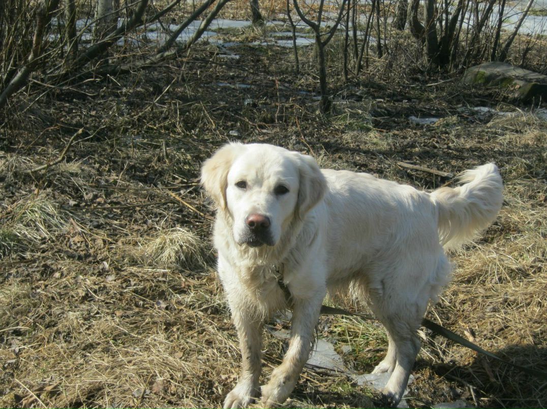 Елена Острова | Санкт-Петербург