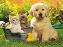 №31 Лейла Набиева 08.11.1998: профиль, фото, статус - ВКонтакте