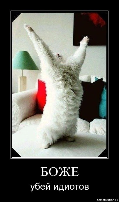 Александр Бородавкин | Таганрог