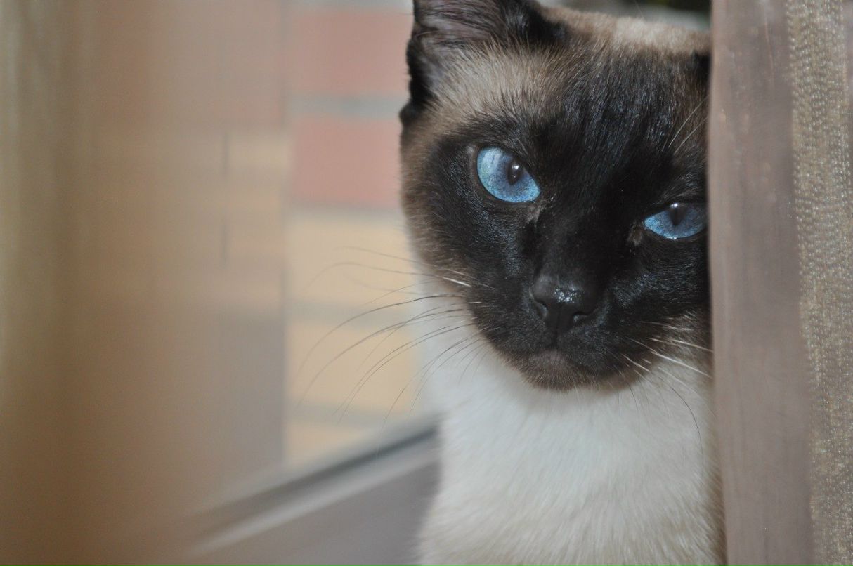 Елена Зайцева | Санкт-Петербург