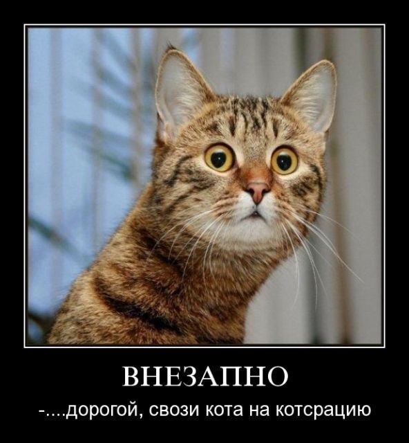 Віталій Дученко | Черновцы