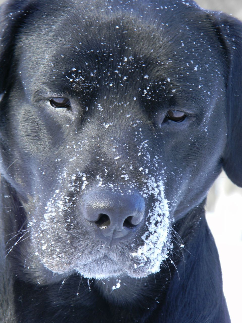 Екатерина Игоревна | Москва