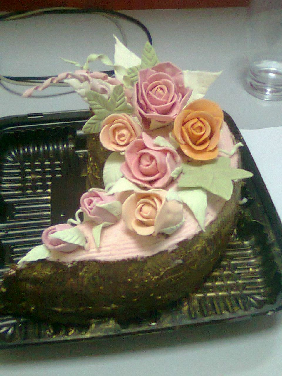 Даша Баловнева | Ставрополь