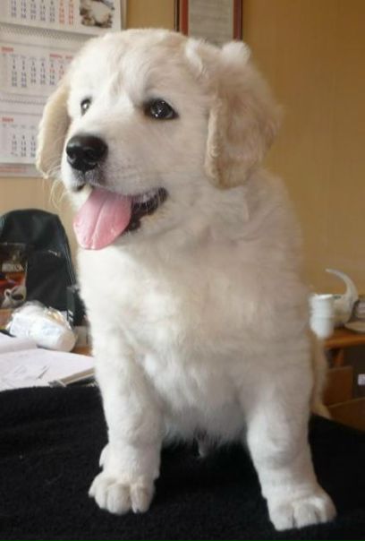 №21, Вячеслав Алимханов, 37 лет, Москва №21, Вячеслав Алимханов, 37 лет, Москва