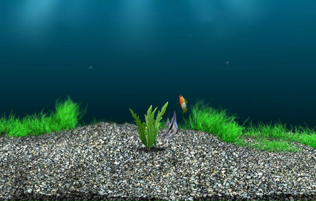 Татьяна Кузнецова kuziaka | Санкт-Петербург