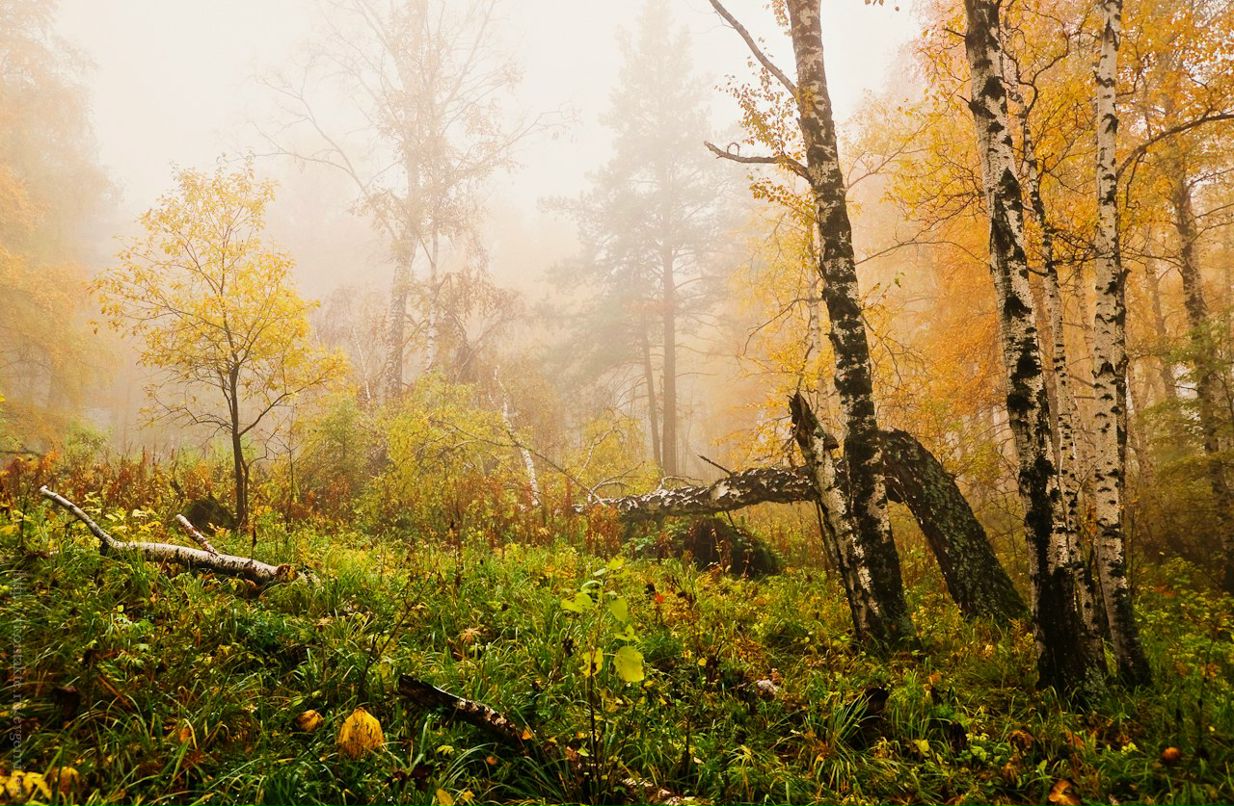 Евгения Мужева | Санкт-Петербург