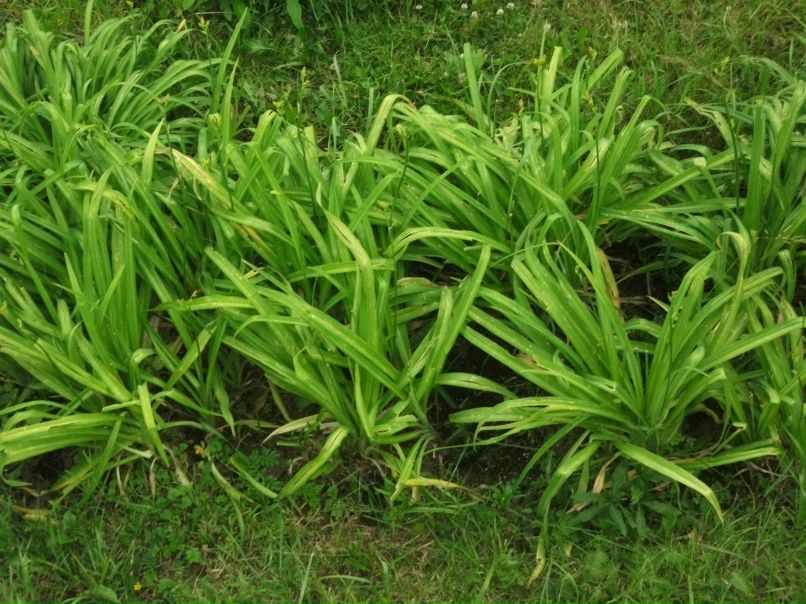 Сергей Паршин ZVEZDEC | Томилино