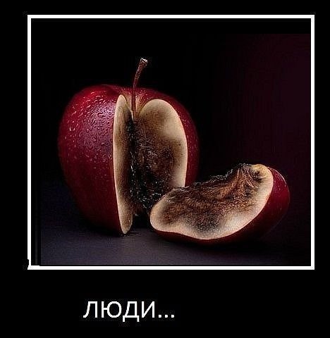 №114, Владимир Неклеса №114, Владимир Неклеса