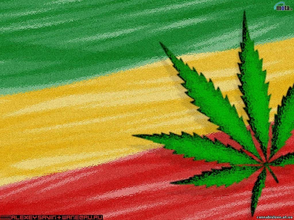 Денис Куликов | Новосибирск