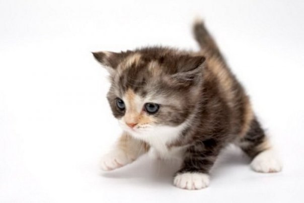 Яна Синицына | Николаев