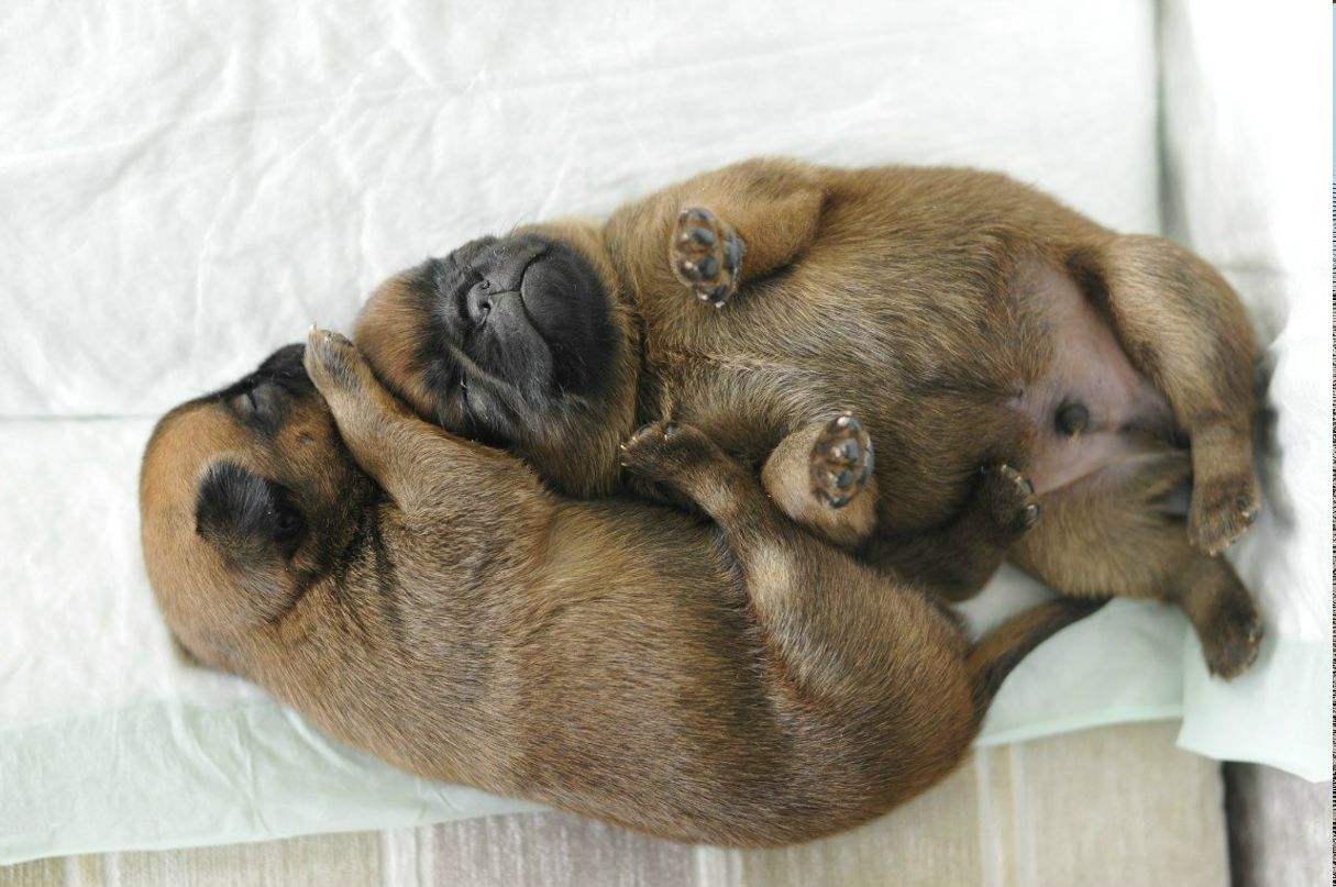 Алёна Котова | 