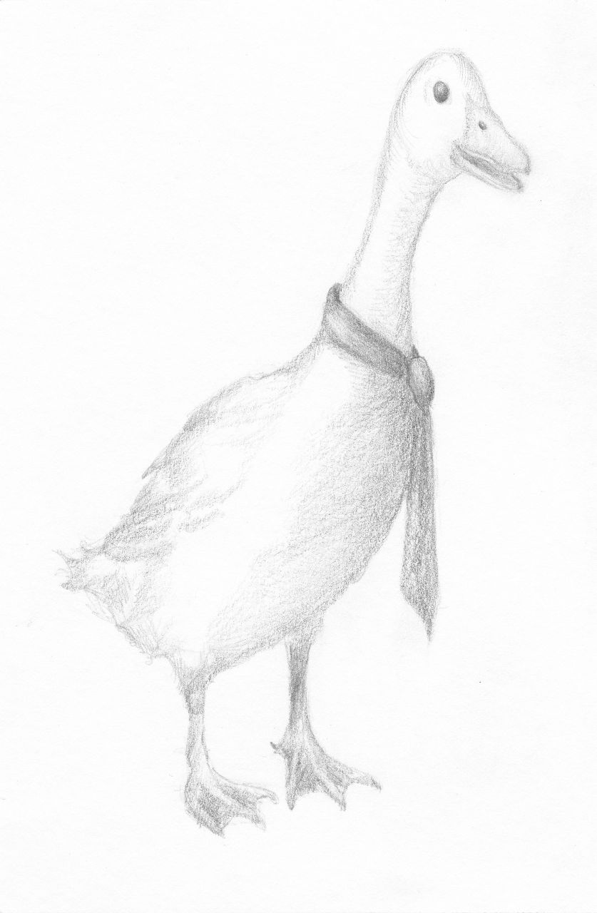 Дария Гусева | Helsinki