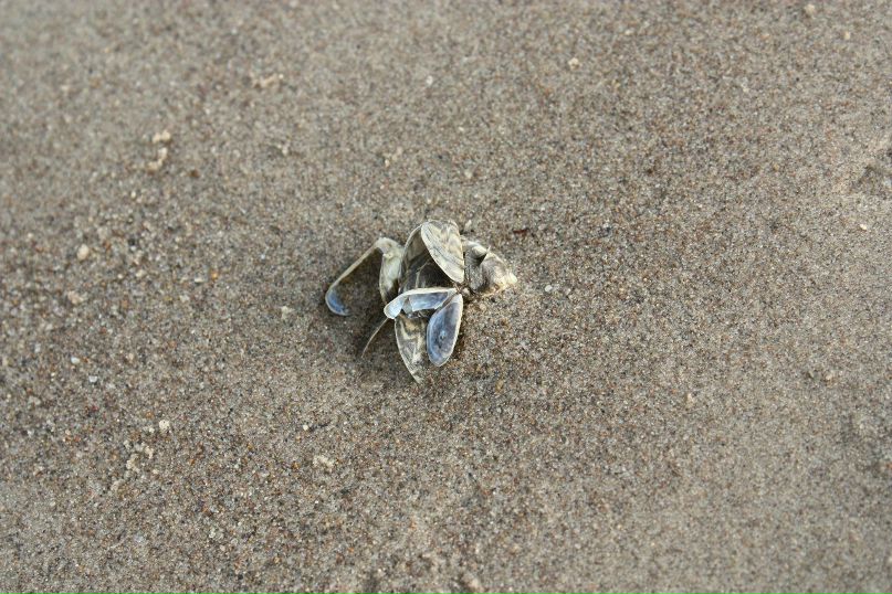 Алёна Слуднова | 