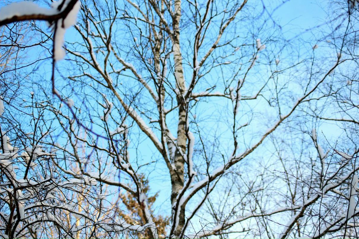 Виктория Ларионова | Санкт-Петербург