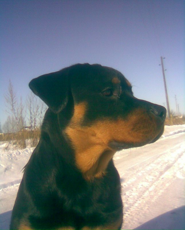 Александр Константинов | Йошкар-Ола