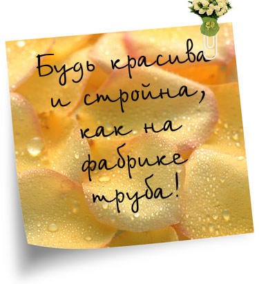 Дмитрий Дубасов | Санкт-Петербург