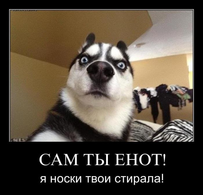 Роман Рыбаков | Саратов