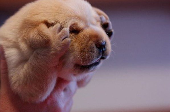 Ира Петрусенко | Киев