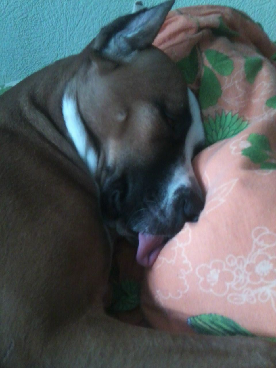 Андрей Куличенко | Красноярск