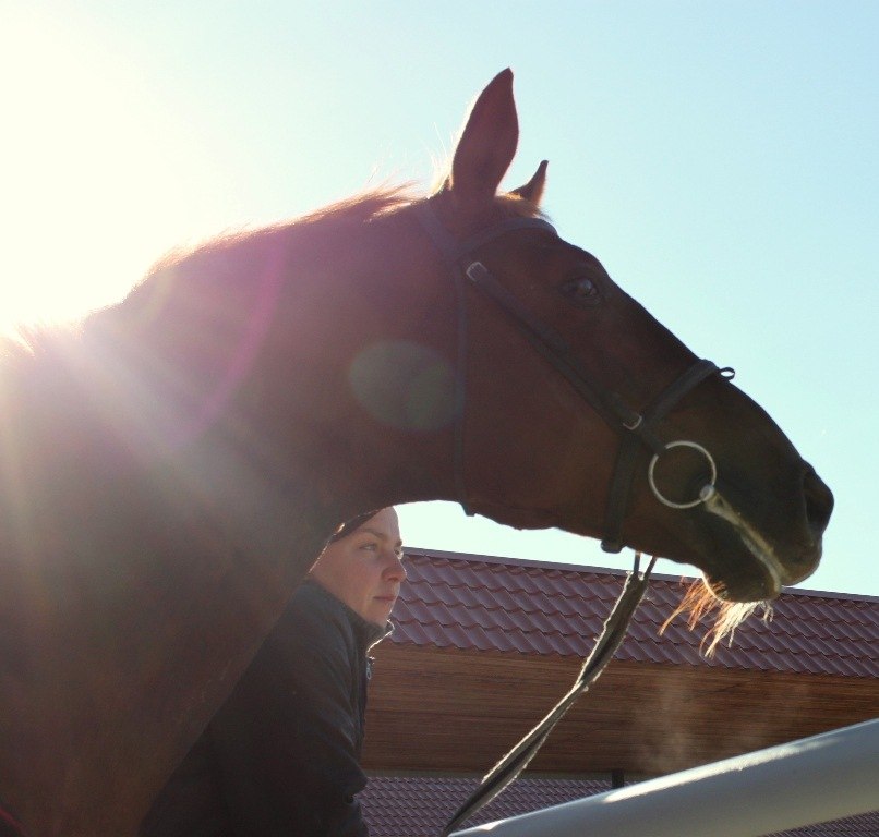 Катя Гавшина | 