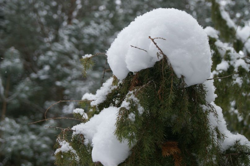 Ильфат Гафуров | Казань