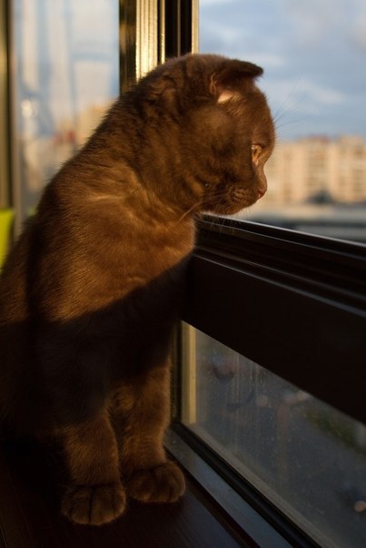 Елен Ивановская | Ростов-на-Дону