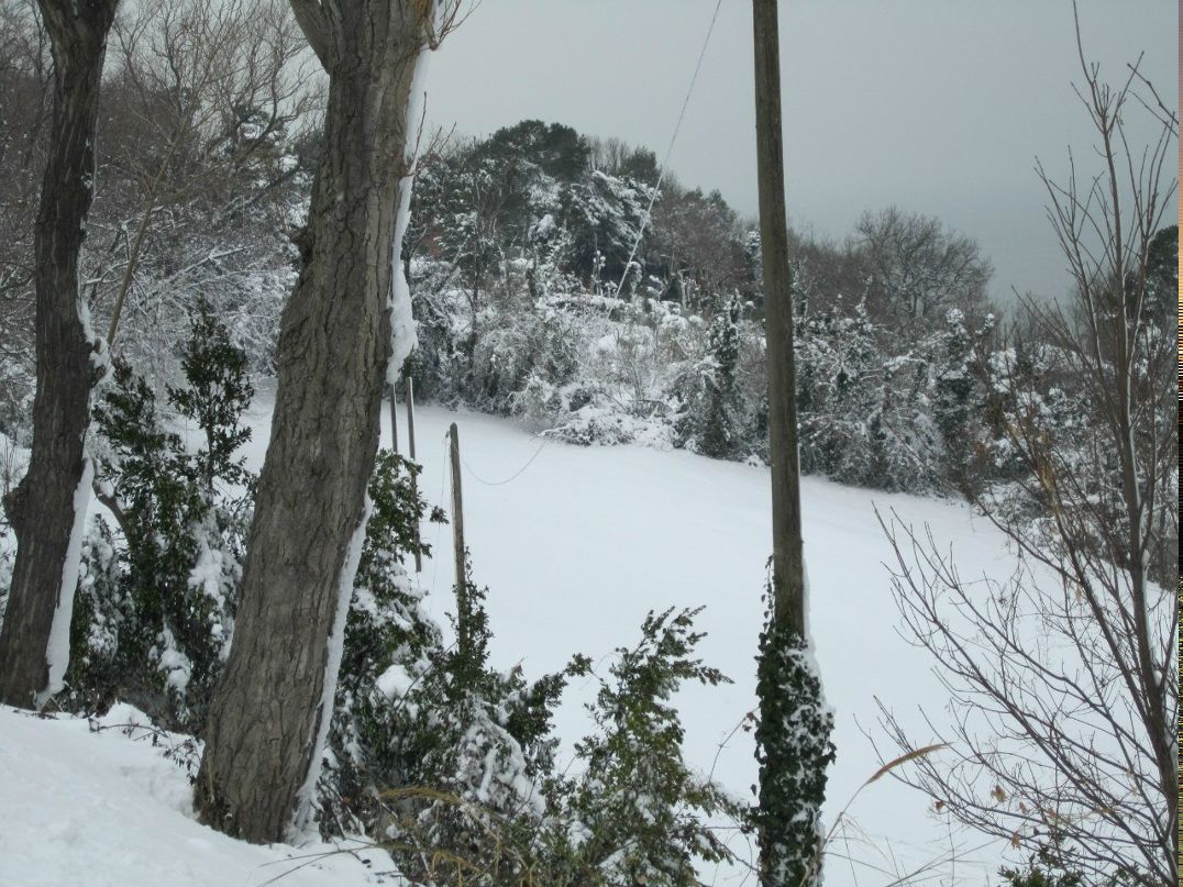 Виктория Бачина | Pesaro