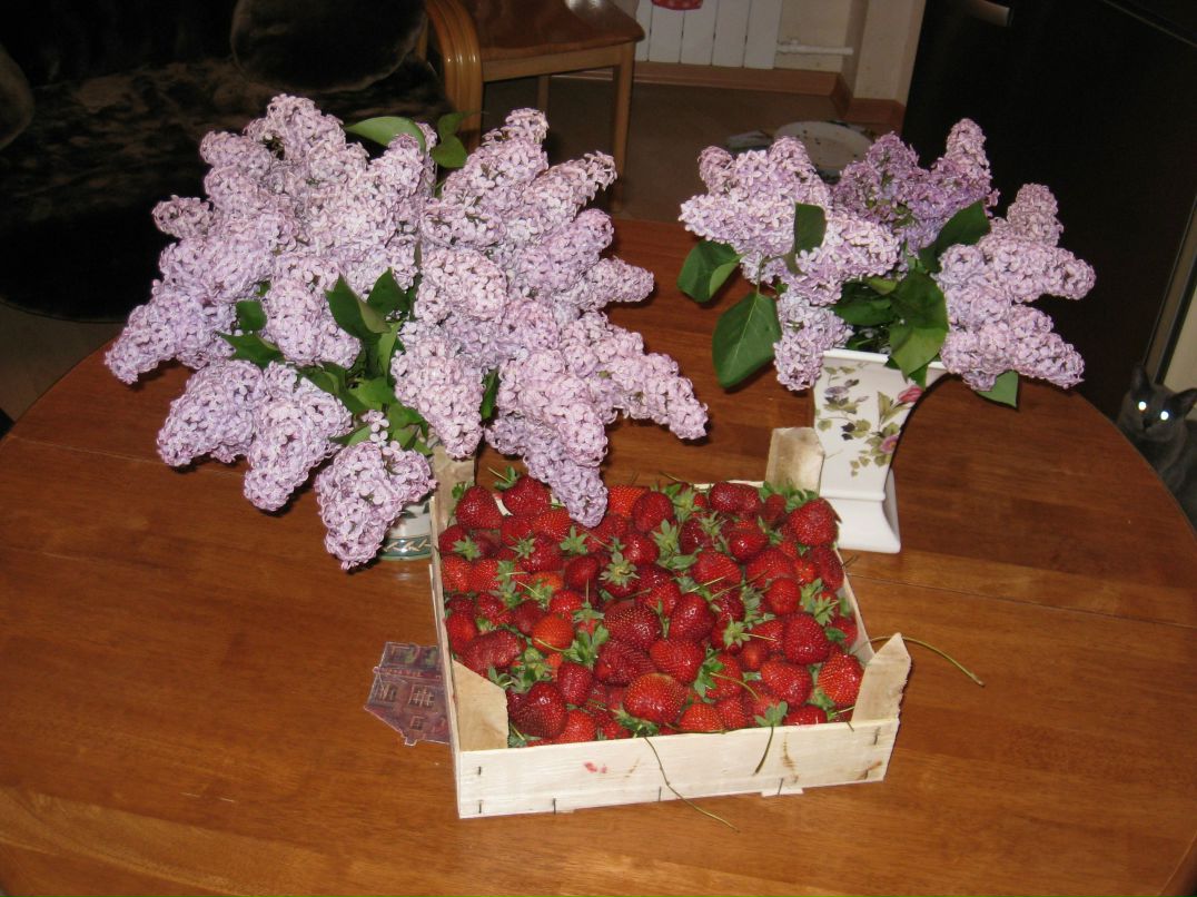 Галина Никитина | 