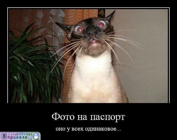 Виталий Марьенков ГОРЛОХВАТ | Киев