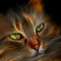 Костя Филатов