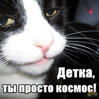 Руслан Мамедов