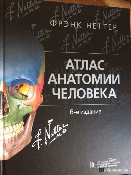 НЕТТЕР ВО ВСЕЙ КРАСЕ!   