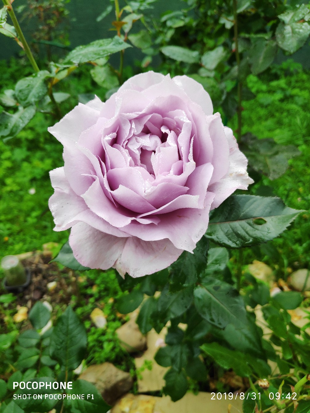 фотография из вКонтакте