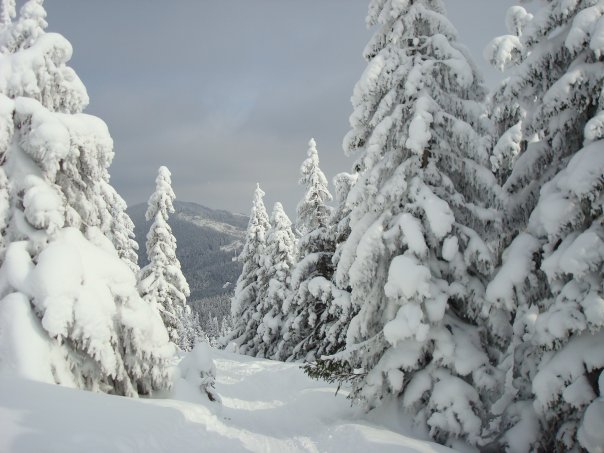 №3, Лидия Чигнева, Киев №3, Лидия Чигнева, Киев