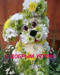 Елена Жукова