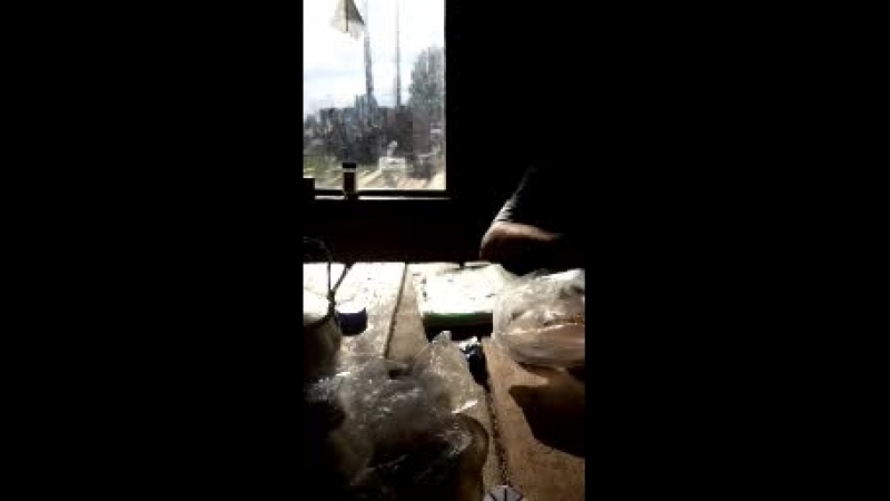 Саша Маличкович - Live