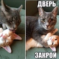 Олег Вячеславович