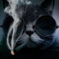 Виталий Федосимов