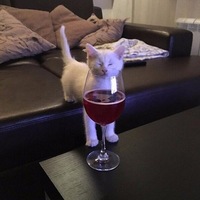 Яна Жукова