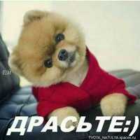 Андрей Васильевич