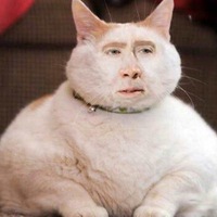 Олег Юдин