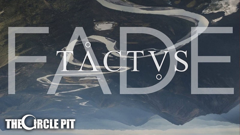 Tactus Fade NEW
