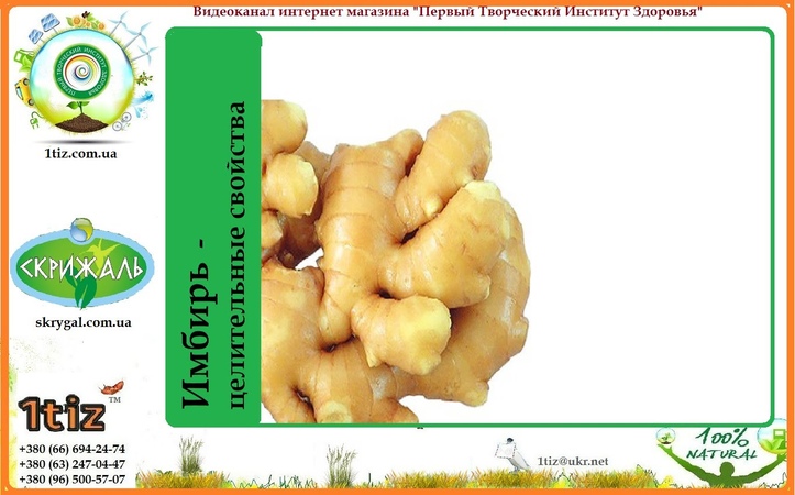 Имбирь   целительные свойства