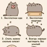 Ксения Фролова