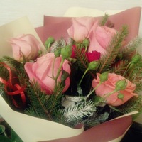 Вера Семенова