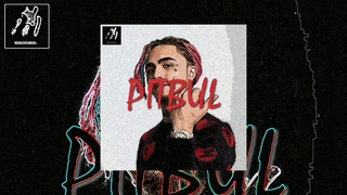 “PITBUL“ | 140 BPM | LIL PUMP TYPE BEAT