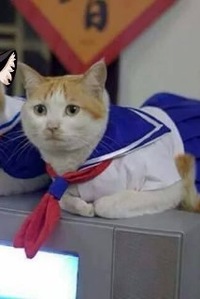 Дмитрий Константинов